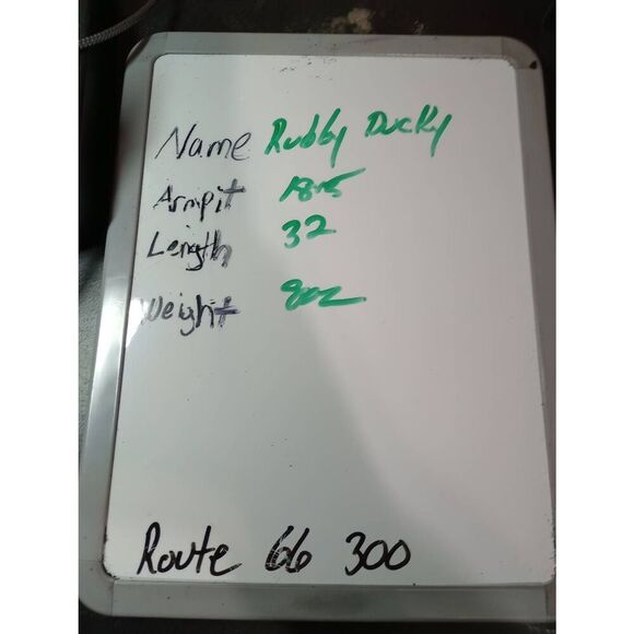 Rubber Ducky Shirt Ladies Medium Peek A Boo Long Sleeve Tunic Light Weight Tropi - Picture 5 of 5